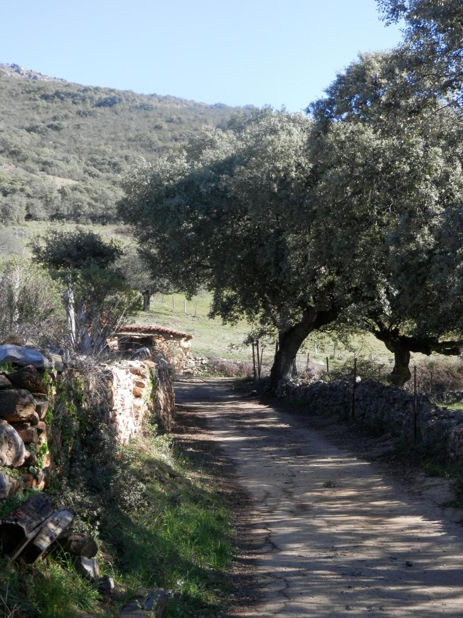 Apartamentos Rurales En Plena Sierra La Calera Buitenkant foto